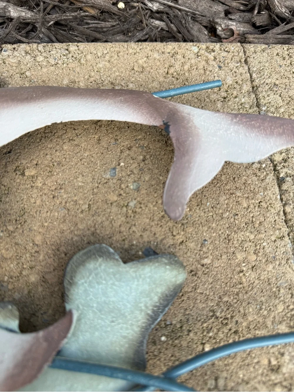 Source Unknown decorative metal